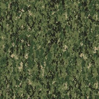 File:NWU Type III camouflage pattern swatch, AOR-2.png - Wik