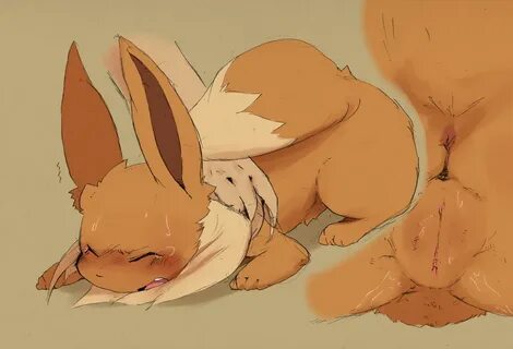 Xbooru - dagasi eevee female pokemon pokÃ © mon pussy 444155