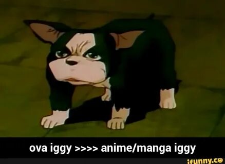 Ova iggy anime/manga iggy