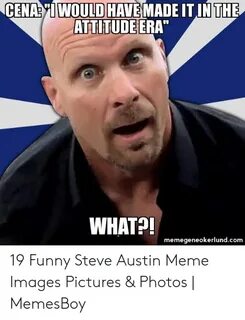 🐣 25+ Best Memes About Steve Austin Meme Steve Austin Memes