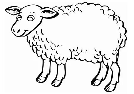 sheep in clipart in black and white - Clip Art Library
