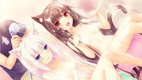 Nekopara h scenes