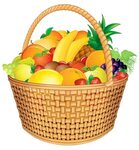 Fruit Basket Vector at Vectorified.com Collection of Fruit B