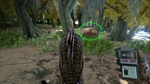 Plant Species X - Ark Survival Evolved