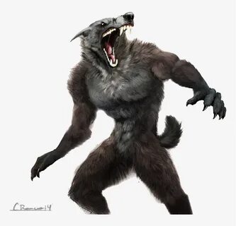 Werewolf Png - Free Transparent PNG Download - PNGkey
