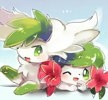Shaymin thread. Sky and Land both very welcome. - /vp/ - Pok
