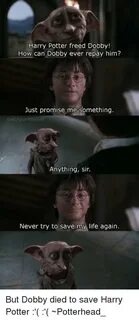 Harry Potter Freed Dobby! How Can Dobby Ever Repay Him? Just