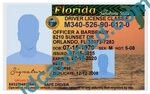 Florida driver license psd template - buy id card psd templa