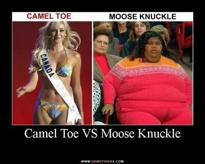 Camel Toe Versus Moose Knuckle " Understanding China, One Bl