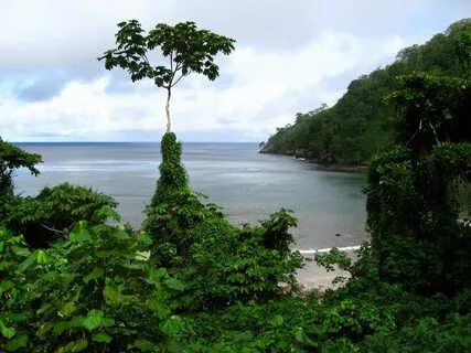 Cocos Island - Costa Rica Best Golf And Diving