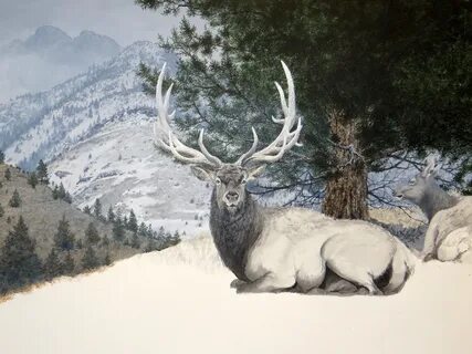 Elk paintings
