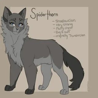 Spiderthorn by PureSpiritFlower Warrior cat oc, Warrior cat 