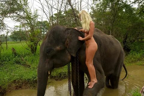 Are Pictures Of A Woman Fucking An Elephant - Porn Photos Se