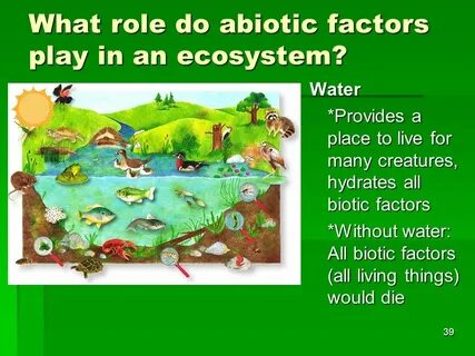 Biotic and Abiotic factors - ppt video online download