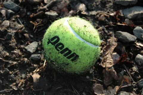 SnappyGoat.com - Free Public Domain Images - SnappyGoat.com- tennis-ball-dirty-b
