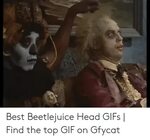 🐣 25+ Best Memes About Beetlejuice Shrunken Head Meme Beetle
