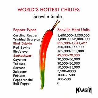 Sale sankeshwari chillies in stock