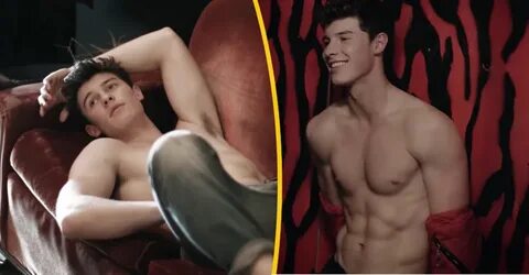 Shawn Mendes: "Non sono gay e non fingo di essere etero" - S