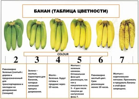 Бананы моего детства 