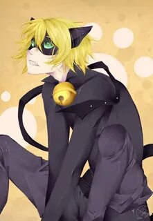 adrien cat noir miraculous ladybug chat noir ladybug