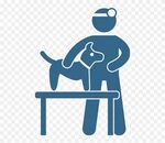 Download Veterinary Technician School Programs And Jobs - Pe