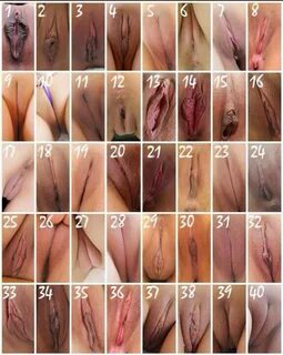 Разновидности женских писек (66 фото) - порно фото