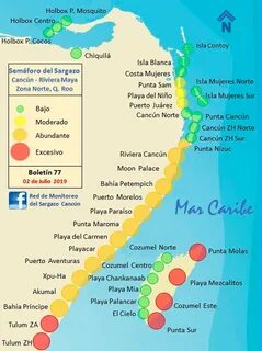 Map Of Playa Mujeres Mexico - South Carolina Map