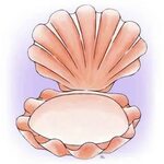 Faded cartoon'y clam shell Digital stamps, Digi stamp, Stamp