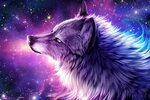 Galaxy Wolf Wallpaper