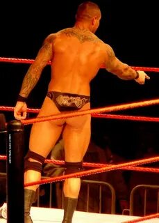 Randy Orton My XXX Hot Girl