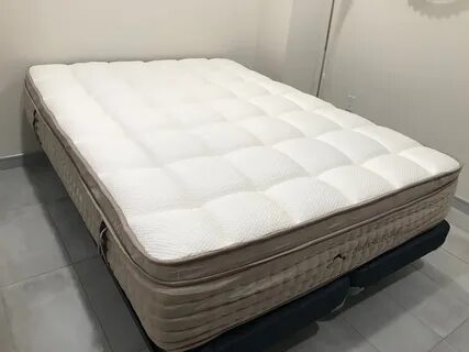 Best Mattress For Back Sleepers With Back Pain at Best