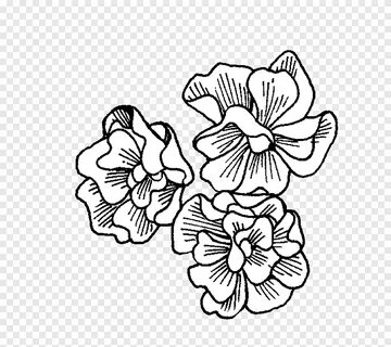 Desain bunga Seni visual Plant Petunia, petunia, putih, lain