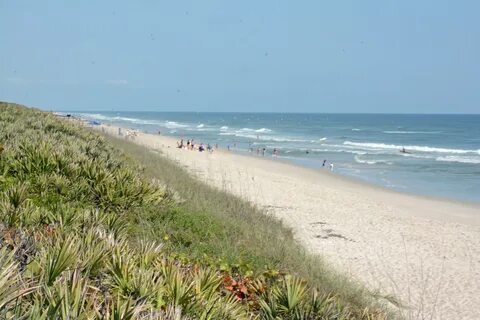 File:Canaveral National Seashore 2015.JPG - Wikimedia Common