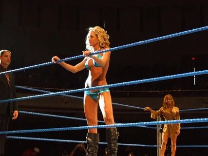 Phil Allely's Wrestling Ramble: Michelle McCool Pics