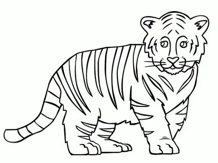 Outline Of Tiger - Coloring Home