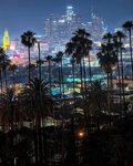 City lights and palm trees Downtown LA at night! - :@killakr