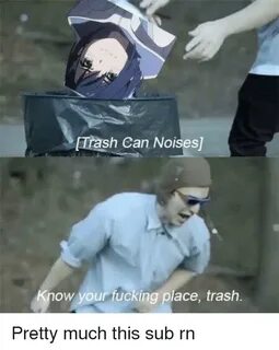 Trash Can Noises Ow Your Fucking Place Trash Anime Meme on S