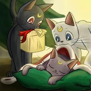 Merry Christmas from luna and Artemis #SailorMoon Sailor moo