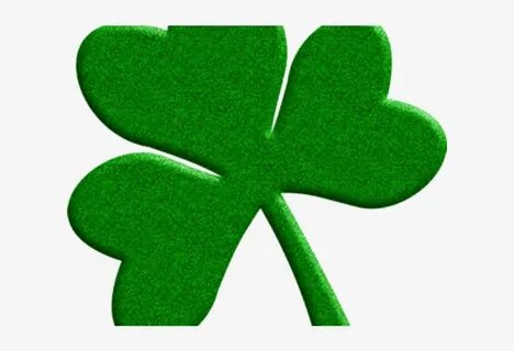 Shamrock - Free Transparent PNG Download - PNGkey