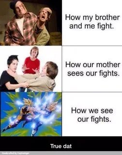 How my brother and me fight. How our mother sees our fights.