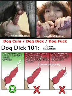 DOG CUM COMPILATION - How Make a Dog CumShots - ALLZoo.Org