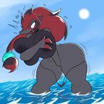 Rule34 - If it exists, there is porn of it / zoroark / 57360