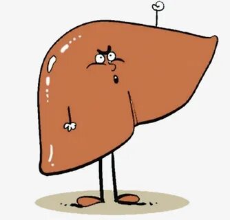 Drawings LIVER (54 photos) " Рисунки для срисовки и не тольк