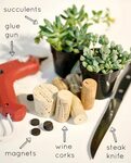 3 Ways To Make A Beautiful DIY Planter
