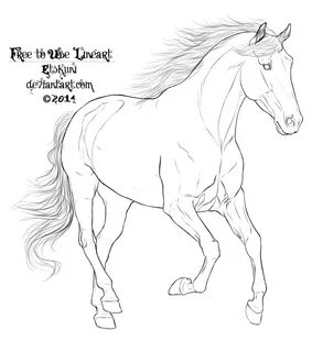 Collection Of Free Horses Drawing Detailed Clear Tutorials F