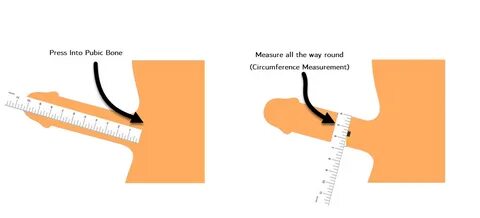 Clunky Tacle Symétrie how to measure penile length correctly