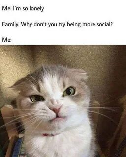 Me i'm so lonely family why don't you try being more social 