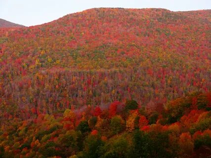 File:Fall-foliage-mountain - West Virginia - ForestWander.jp