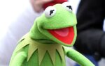 Trump’s Fave Puppets Audition For The Voice Of Kermit On 'La