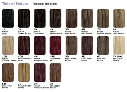 Pretty sure I'm naturally a 6N-7N. -- Hair Dye Color Chart O